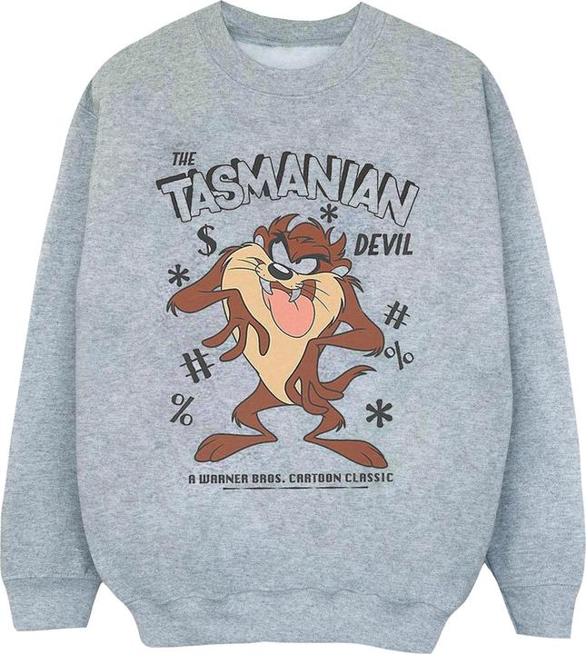 Actual product image Looney Tunes Sweatshirt boys (152, 158)