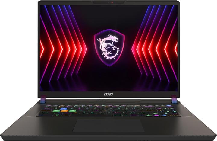 MSI Vector 17 HX A14VHG-1009 (17", 1000 GB, 32 GB, DE, Intel Core i9-14900HX)