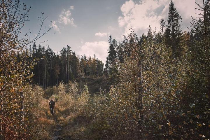 Produktbild Hultafors STALBERG Axt