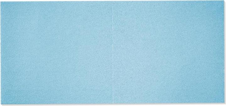 Actual product image Festool Sanding sheet STF 46X178 P80 GR/10 (P80)