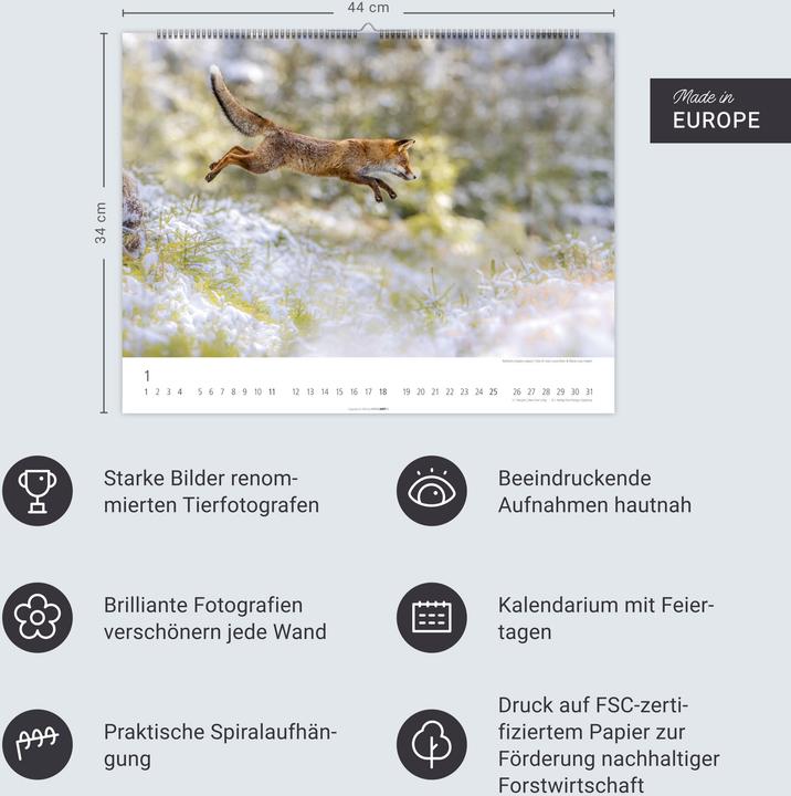 Actual product image Heimische Wildtiere Kalender 2026 (44 x 34 cm)