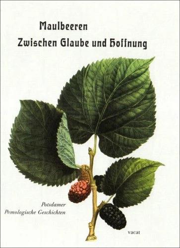 Produktbild Maulbeeren - Zwischen Glaube und Hoffnung (Deutsch, Marina Heilmeyer, Michael Seiler, 2006)