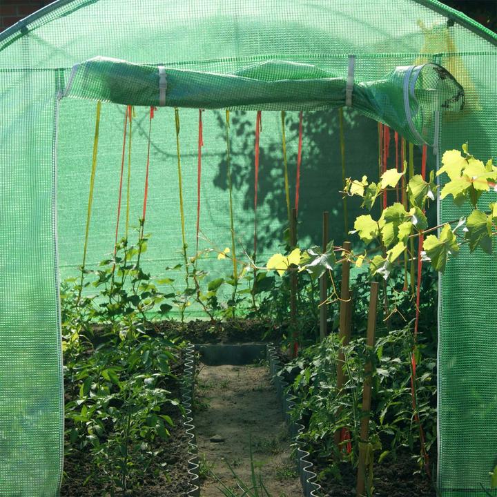 Actual product image Wiltec Arched roof greenhouse