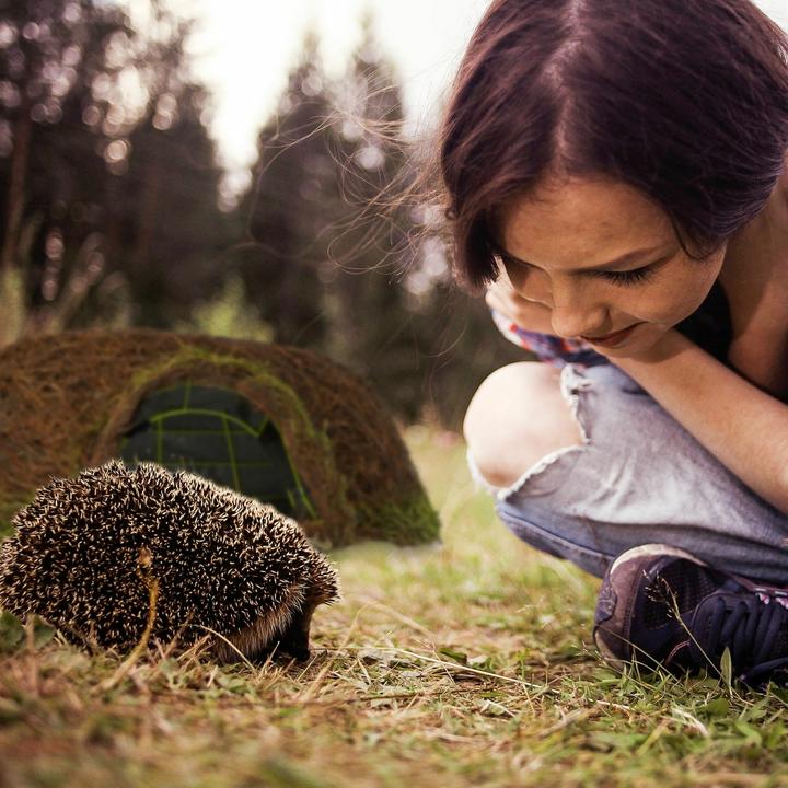 Produktbild Relaxdays Katzenschrank (Katzenklo geschlossen)