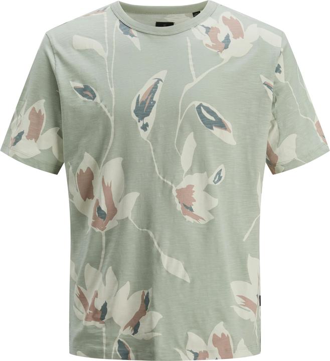 Aqua Gray