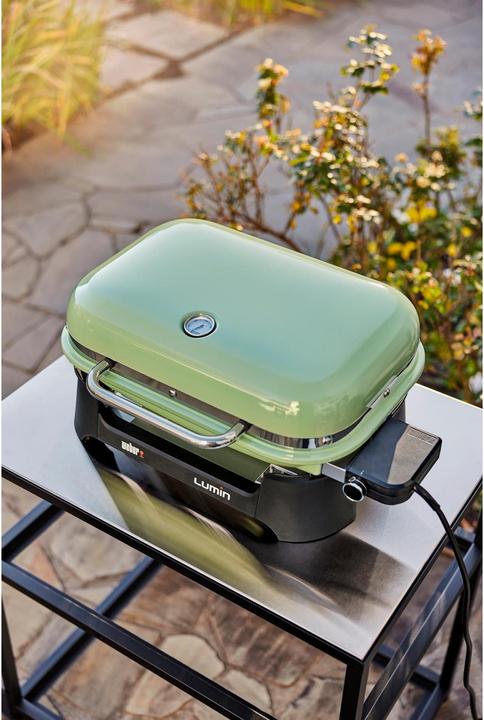 Produktbild Weber Lumin (2.20 kW)