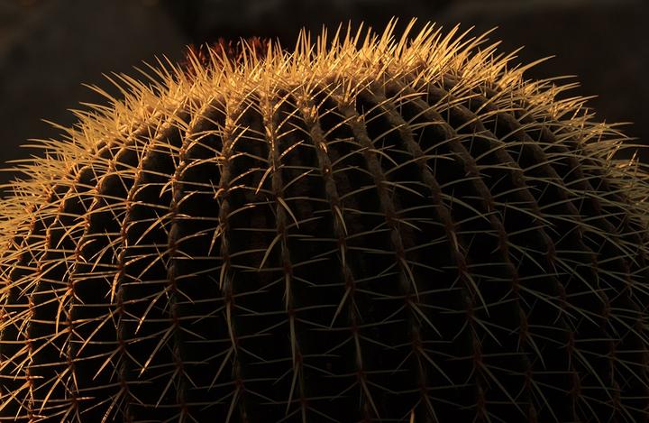 Produktbild Rokinon DS135M-NEX (Sony E, Vollformat)