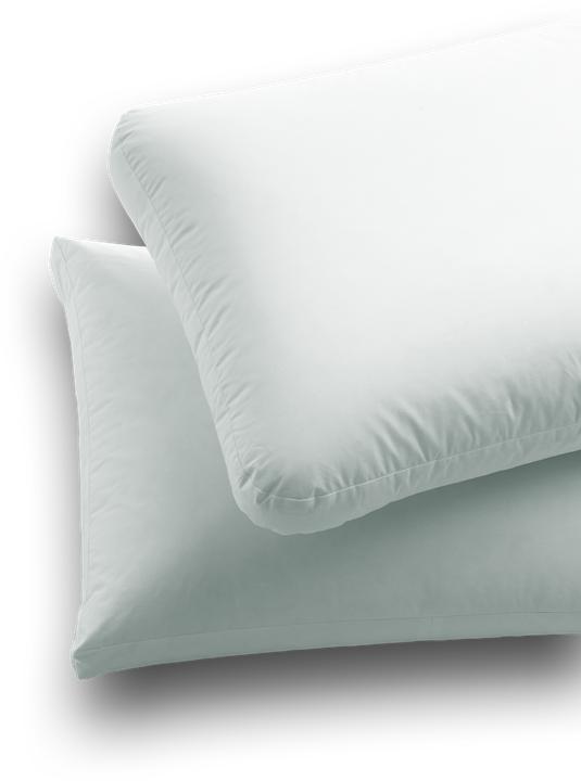 Immagine prodotto Dauny Cuscino SOFT BOX PLUS (65 x 100 cm)