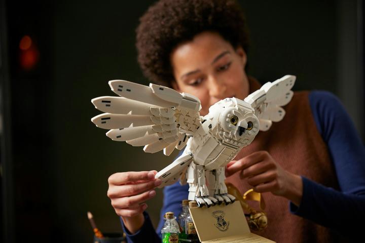 Image du produit LEGO Icônes de Poudlard - Édition Collector (76391, LEGO Harry Potter, LEGO difficiles à trouver)