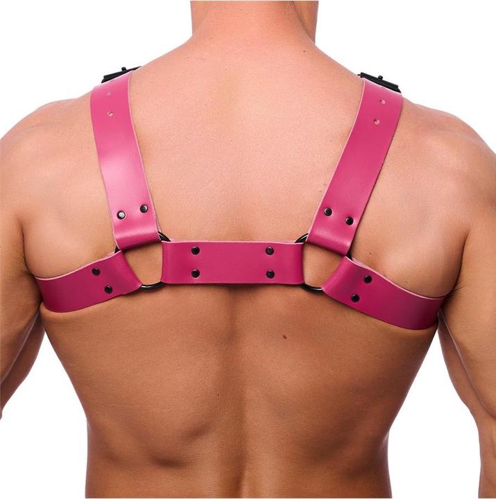 Immagine prodotto The Red Premium Leder-Harness "BULLDOG" (L)