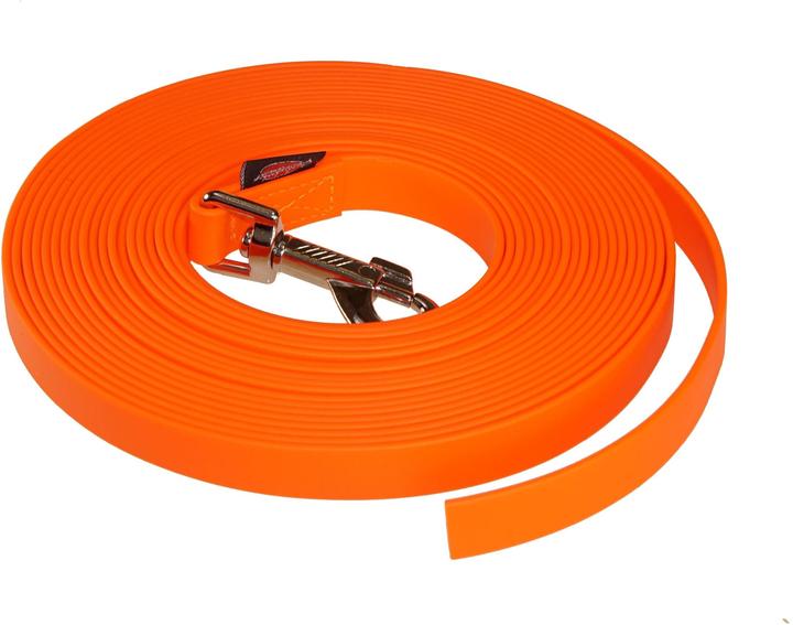 Immagine prodotto Grossenbacher Linea di traino Biothane (10, Cane, Passeggiare)