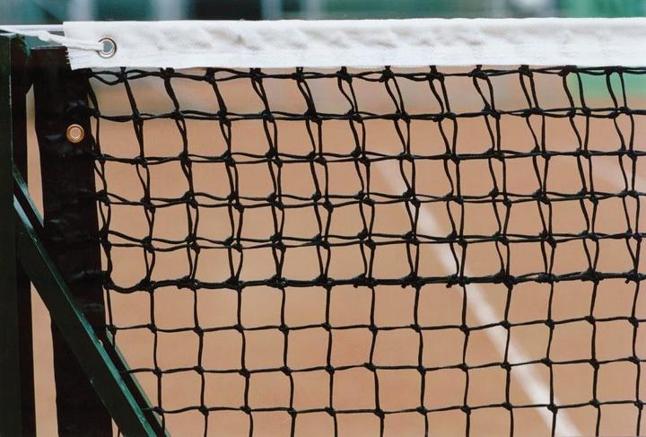 Actual product image Court Royal Tennis net double row, edged all round