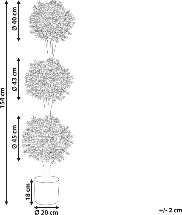 Immagine prodotto Beliani Buxus Ball Tree (154 cm)