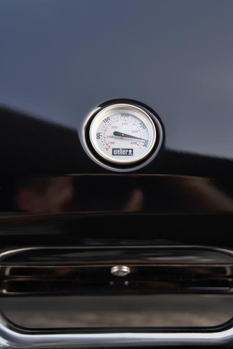 Immagine prodotto Weber Lumin (2.20 kW)