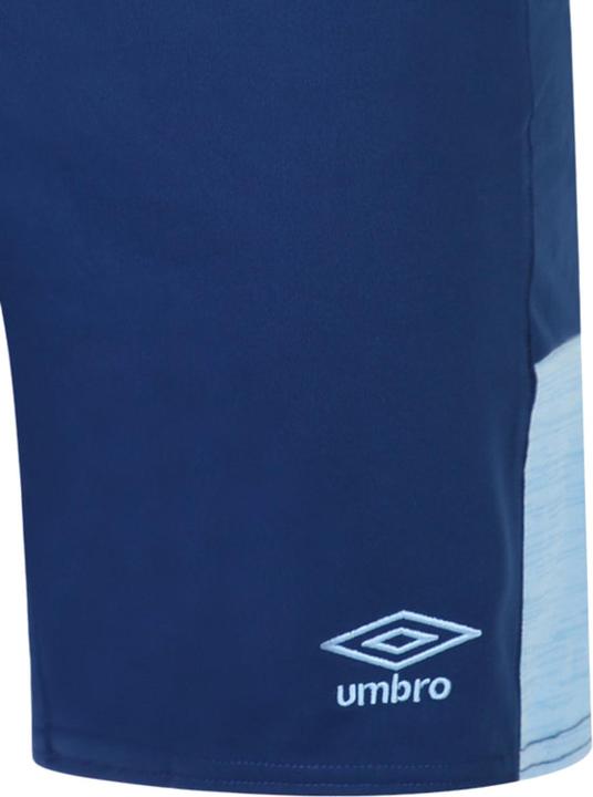 Actual product image Brentford FC 2224 Shorts