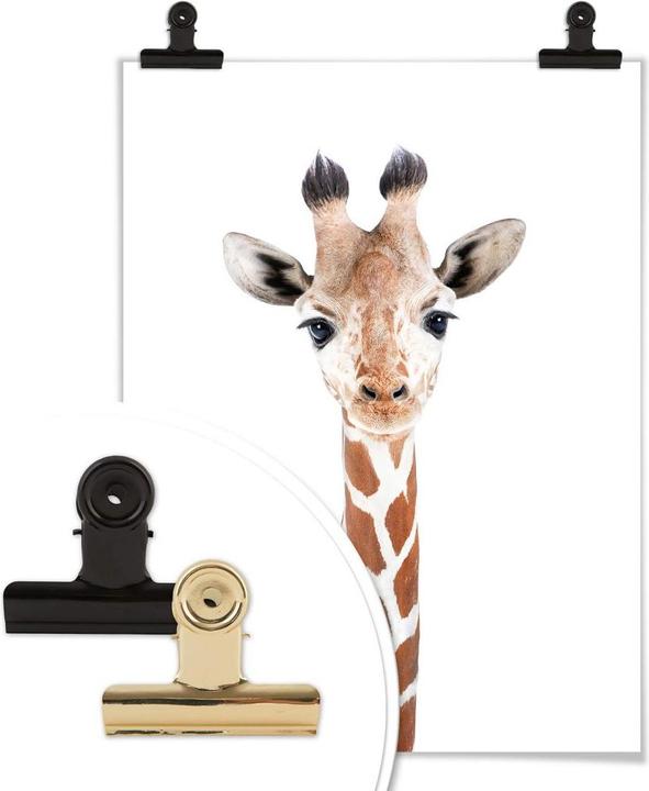 Actual product image Trenddeko Baby Giraffe (40 x 50 cm)