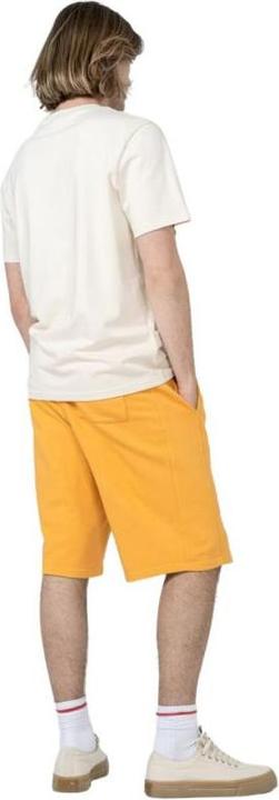 Actual product image Outhorn Men's shorts (74)