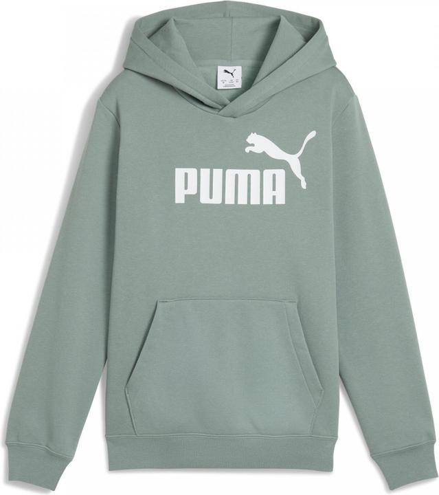 Image du produit Puma Sweat à capuche ESS No. 1 Logo FL B (140)