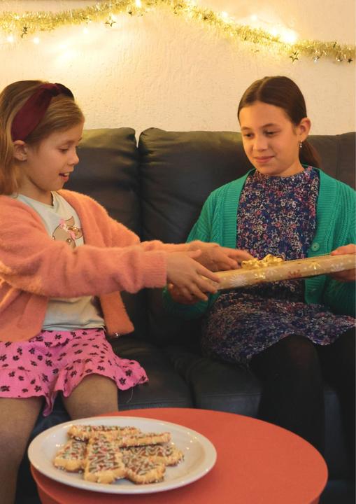 Produktbild Bruynzeel Käferdose (66x)