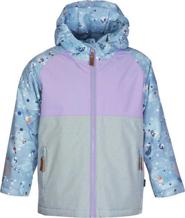 arctic galaxie print