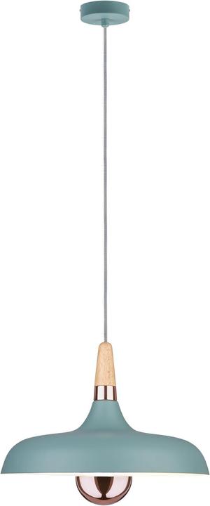 Image du produit Paulmann Neordic Juna (E27)