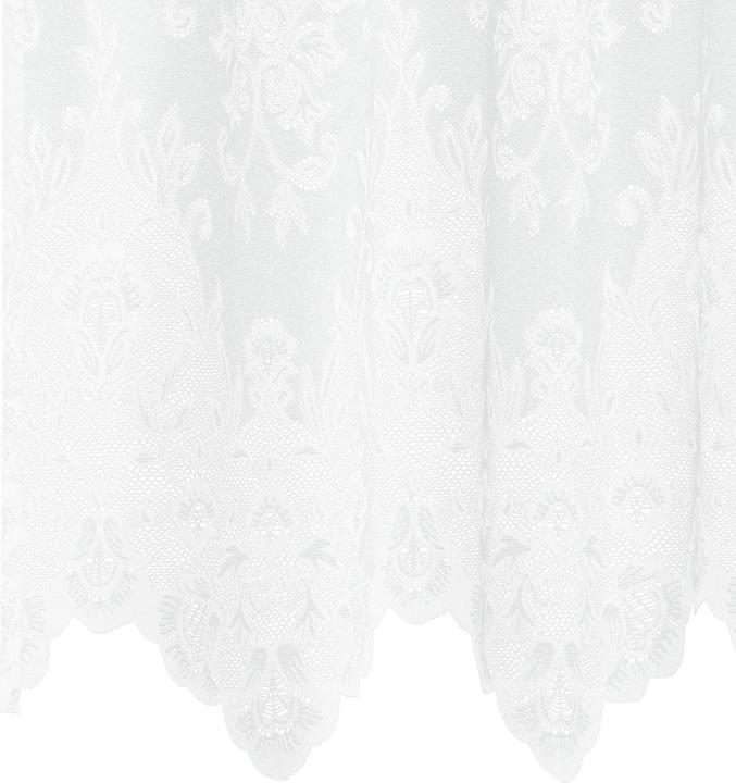 Actual product image vidaXL Spitzenvorhang (150 x 100 cm)