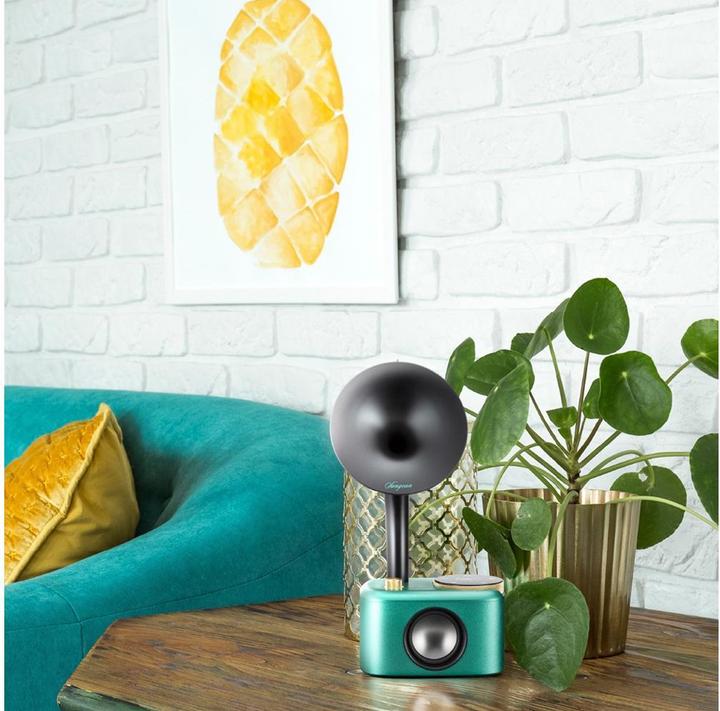 Immagine prodotto Sangean CP 100D (DAB, Bluetooth)