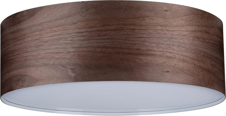 Actual product image Paulmann Neordic Liska (E27)