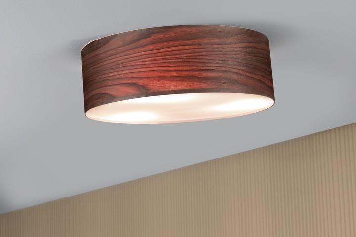 Actual product image Paulmann Neordic Liska (E27)