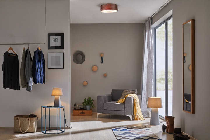 Actual product image Paulmann Neordic Liska (E27)
