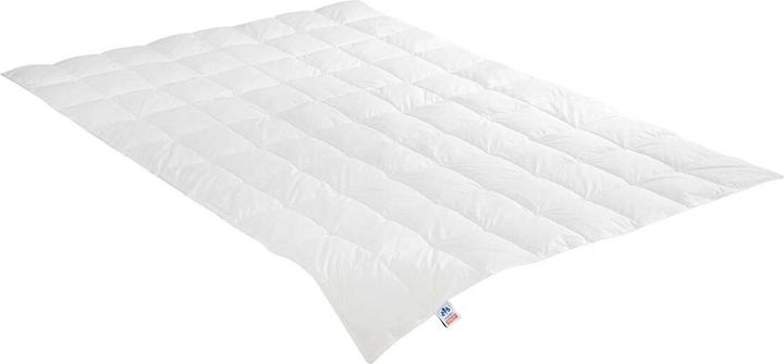 Produktbild Irisette Daunendecke Emily leicht, Füllung: 90% Daunen, 10% Federn (340 g, 155 x 220 cm)