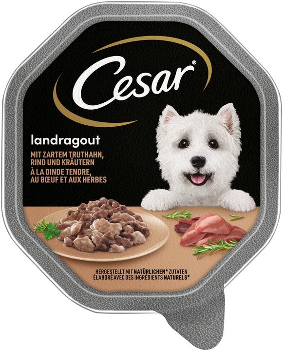 Image du produit Cesar Dinde/boeuf (Adulte, 1 pcs, 150 g)