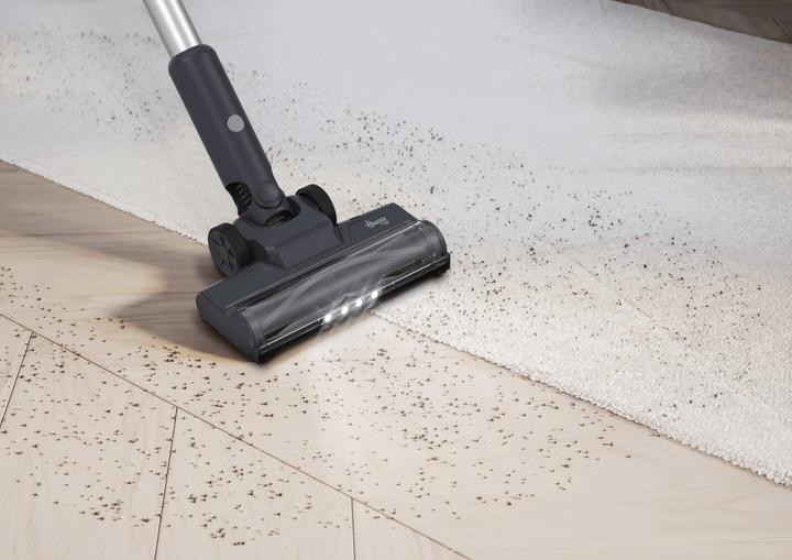 Image du produit Hoover HFG10P 011 - HF1 GO Pet