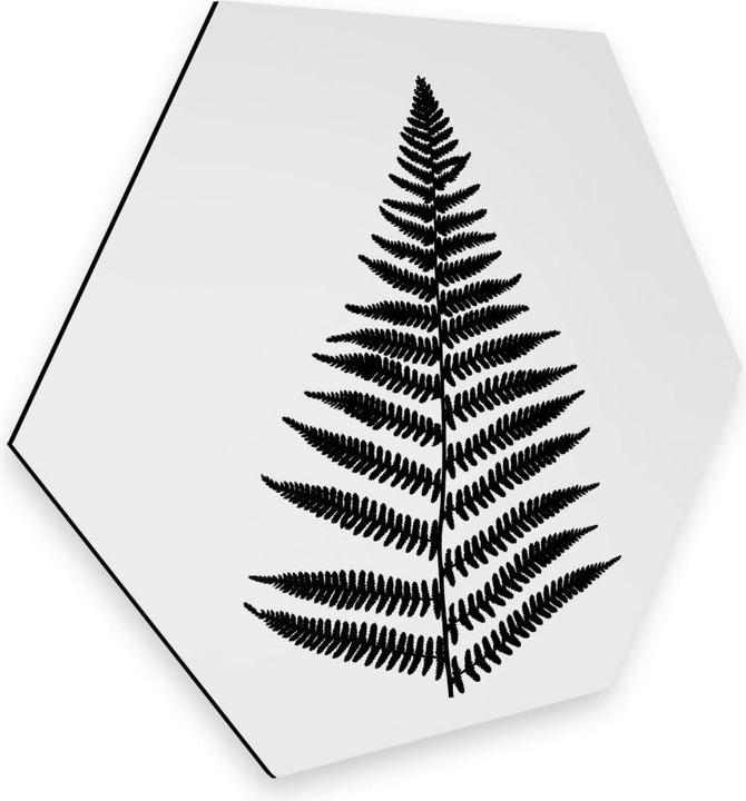 Immagine prodotto Trenddeko Felce (55 x 47 cm)