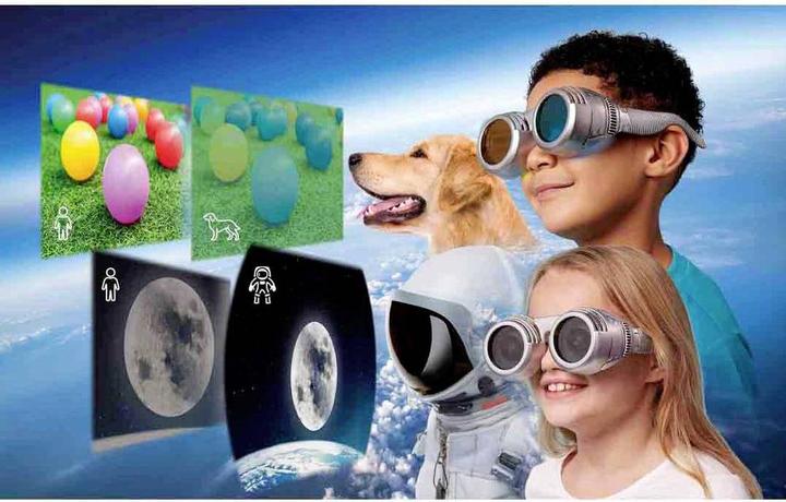Immagine prodotto Brainstorm Vedere il mondo attraverso gli occhi degli altri