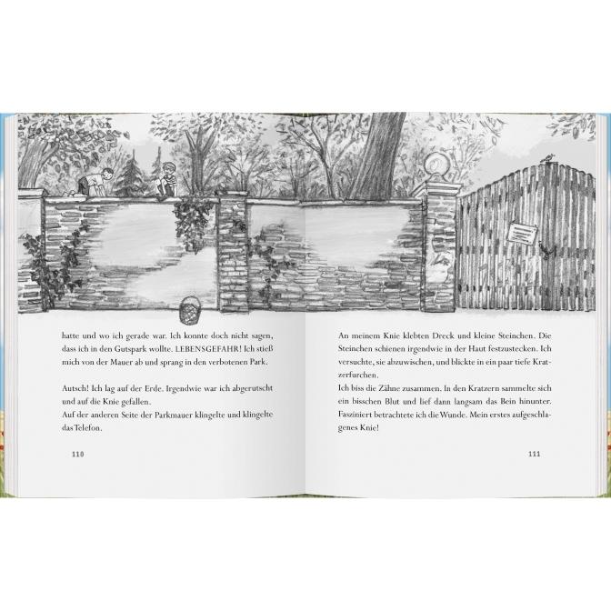 Thumbnail - Limonade im Kirschbaum, Kinderbücher von Gerda Raidt