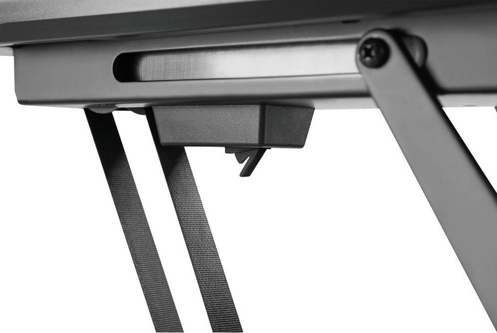 Produktbild myWall HL40ML (Decke, 55", 30 kg)