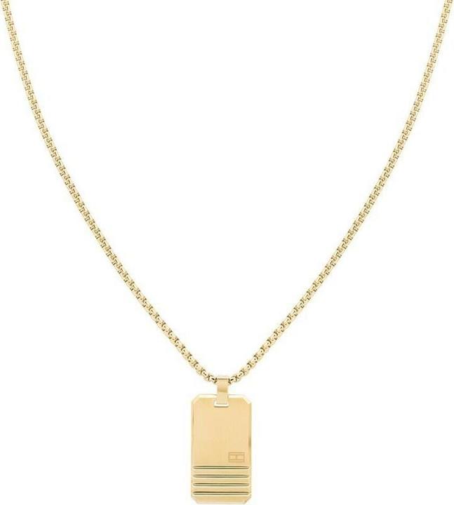 Tommy Hilfiger Iconice Srips Ketting (Roestvrij staal, 60 cm)