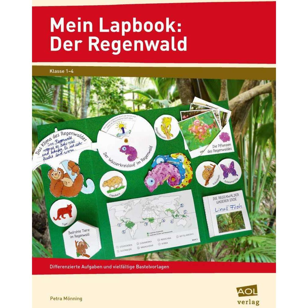 Mein Lapbook: Der Regenwald, Schulbücher von Petra Mönning