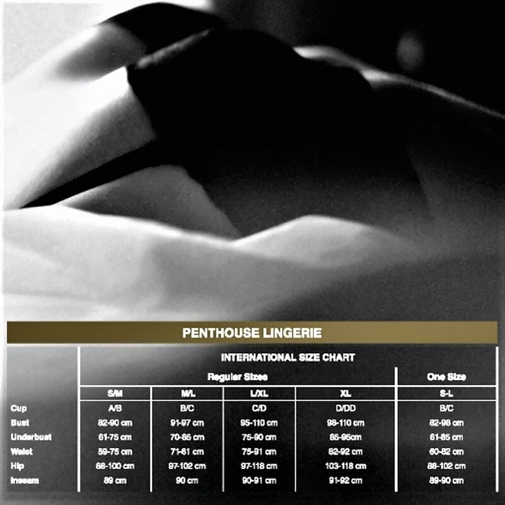 Actual product image Penthouse Lingerie Top with suspender belt and stockings "Smoking gun (M/L)