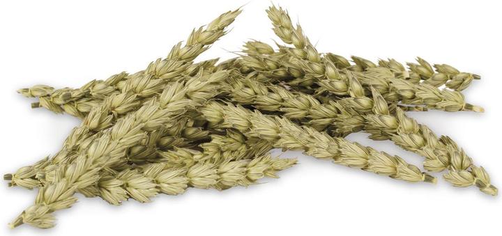 Produktbild JR Farm Knabber-Ähren (0.03 kg, 1 x)