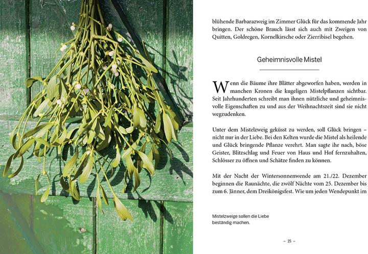 Produktbild Mein Garten im Winter (Deutsch, Elke Papouschek, 2014)