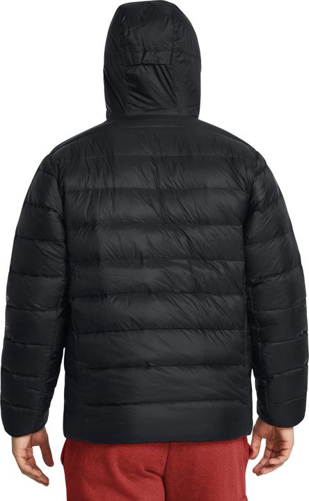Actual product image Under Armour Legend Down (M)