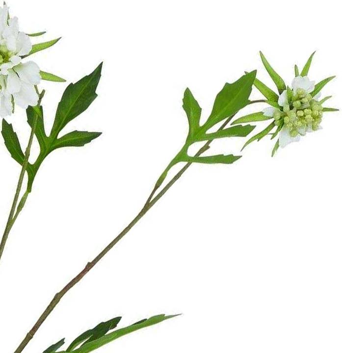Actual product image Hill Interiors The Natural Garden Collection Scabious Stem Artificial Plant (65 cm)