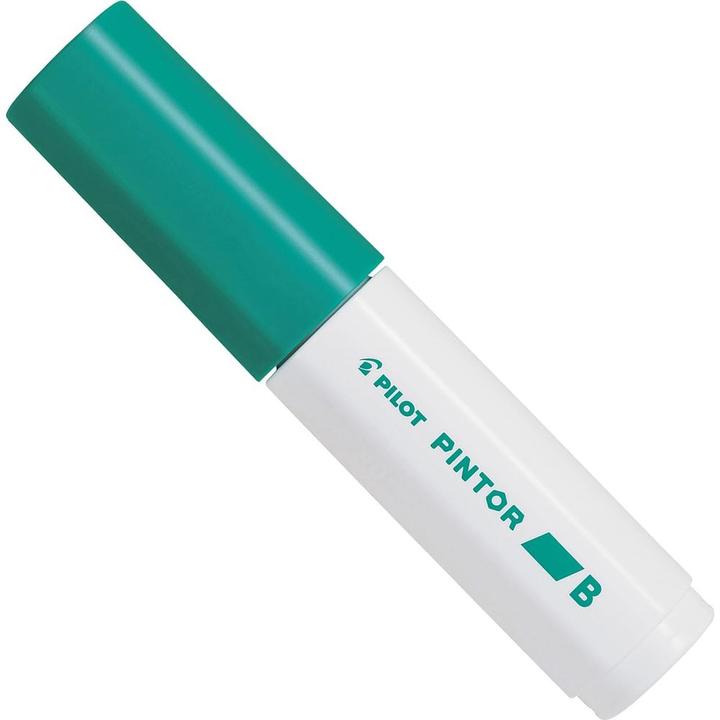 Actual product image Pilot Pintor Wide