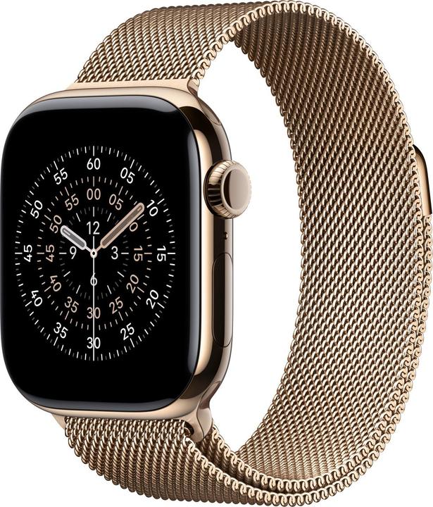 Image du produit Apple Milanese Loop (42 mm, Acier inoxydable)