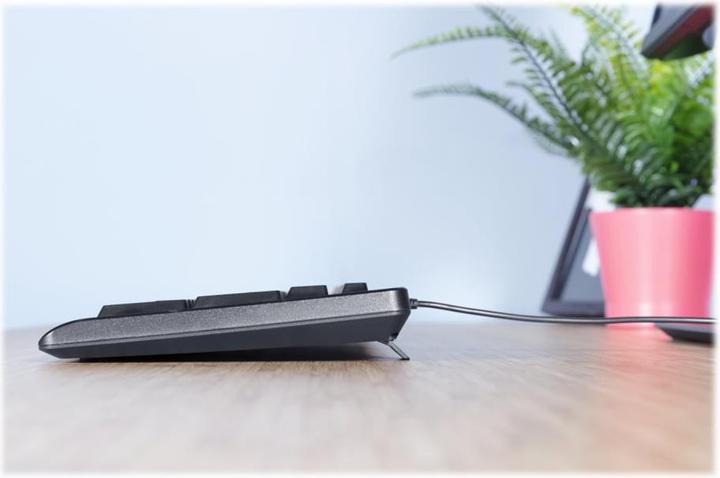 Actual product image Trust Primo Keyboard USB QWERTY German Black (DE, Cable)