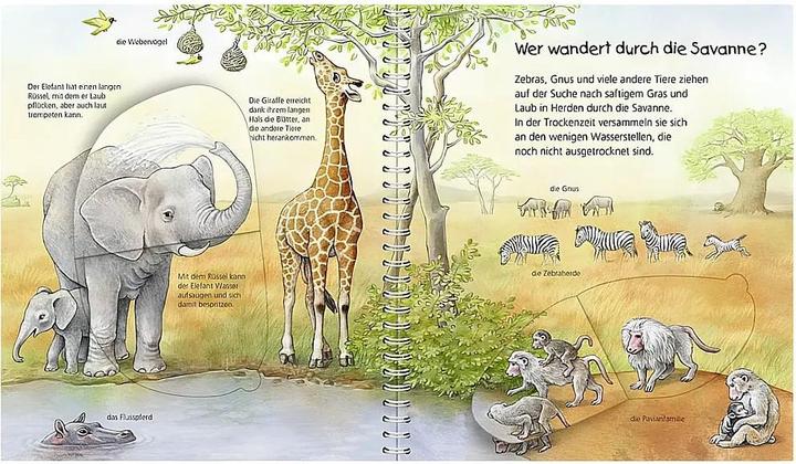Actual product image Ravensburger Mein junior-Lexikon: Tiere (German, Anne Moeller, 2014)