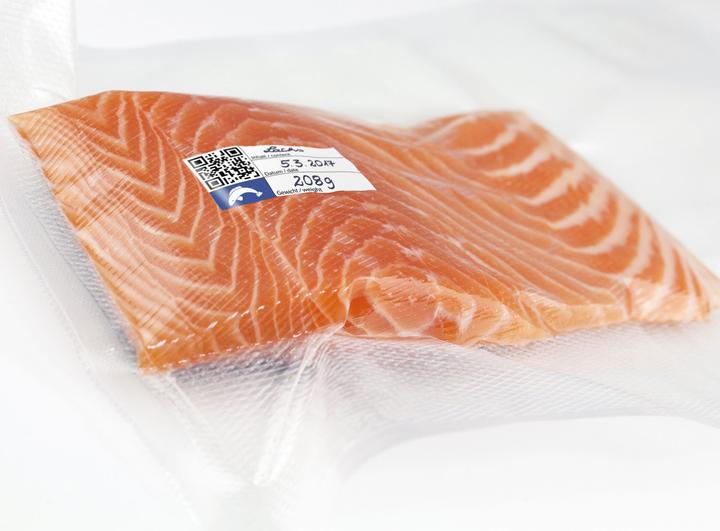 Actual product image Caso XXL Professional (1 x)