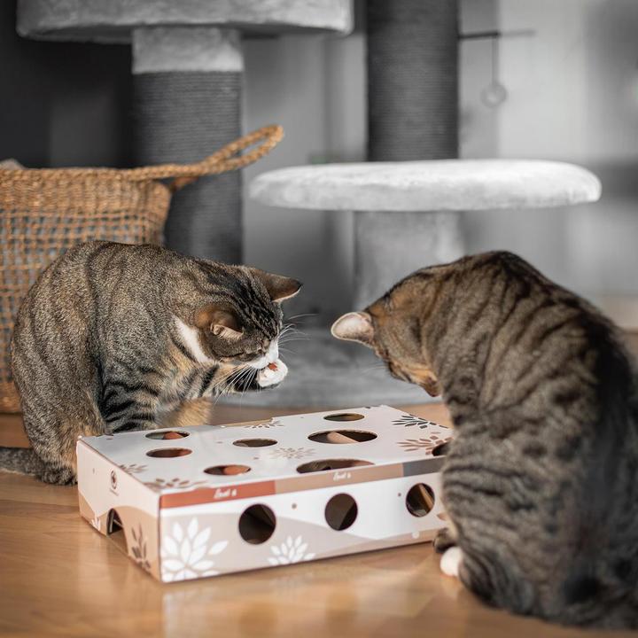 Actual product image CanadianCat Cat Strategy Game MagicBox, Brown-White (Intelligence toy cat)